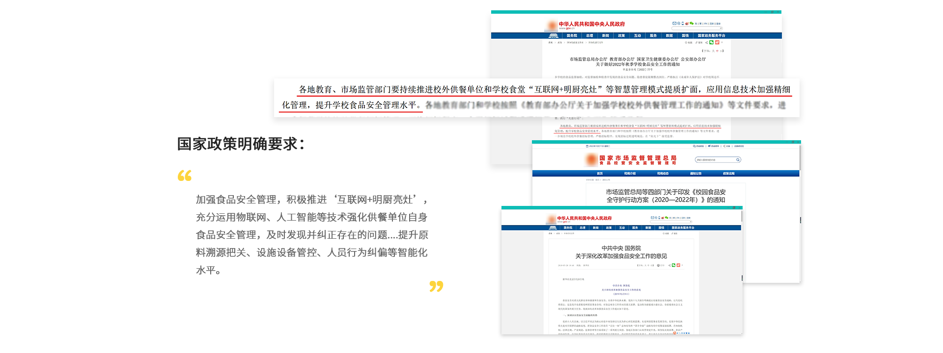 明厨亮灶政策